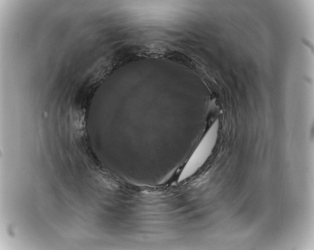 X0000097790818200803211819