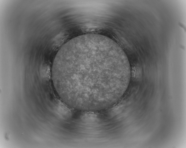X0000097790820200803211819