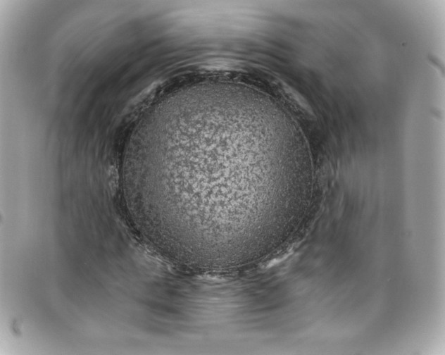 X0000097790821200803211819