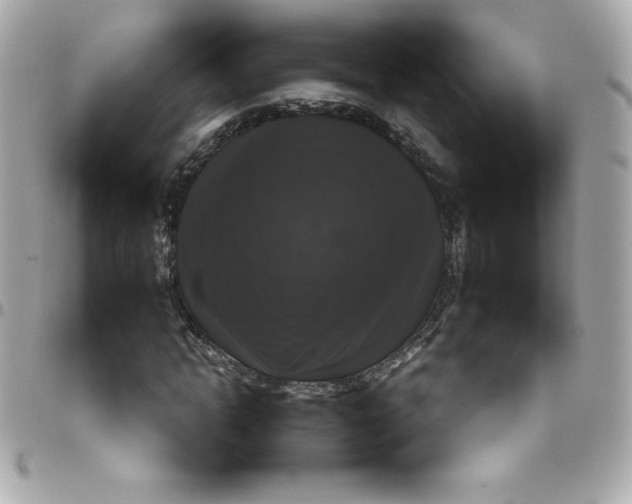 X0000097790822200803211819