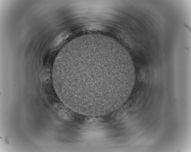 X0000097790824200803211819