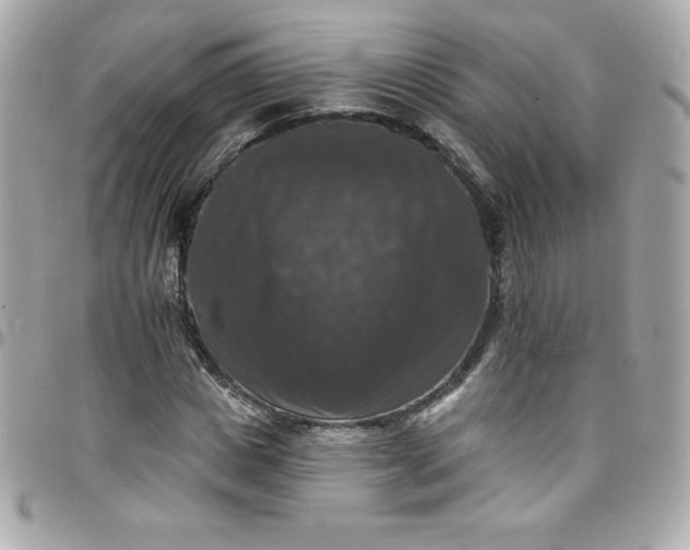 X0000097790825200803211819