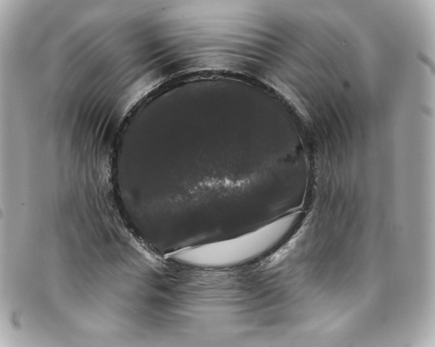 X0000097790826200803211819