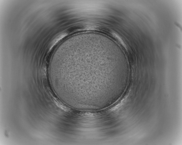 X0000097790827200803211819