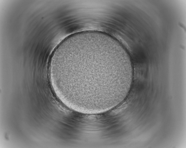 X0000097790828200803211819