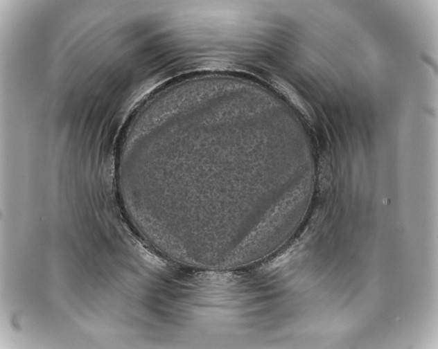 X0000097790831200803211819