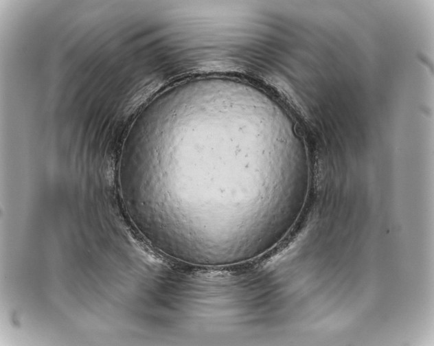 X0000097790833200803211819