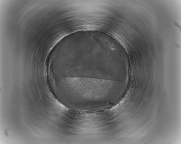 X0000097790835200803211819
