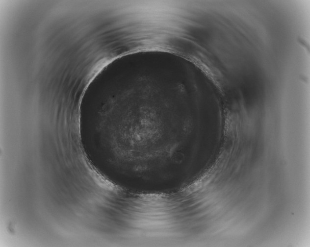 X0000097790836200803211819