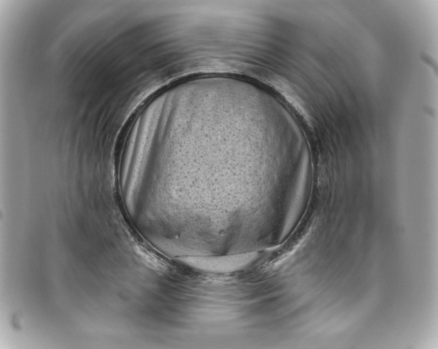 X0000097790837200803211819