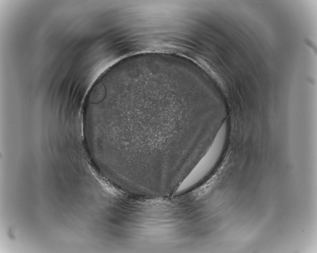 X0000097790838200803211819