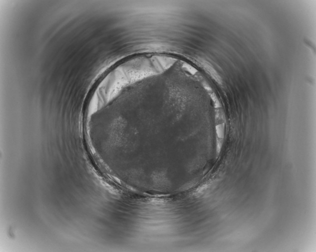 X0000097790839200803211819
