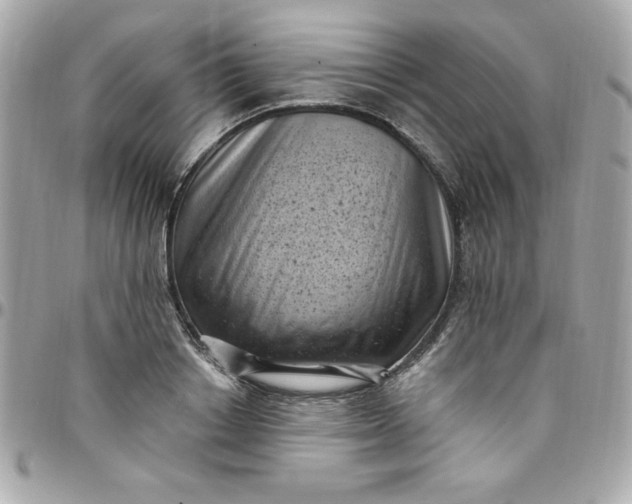 X0000097790842200803211819