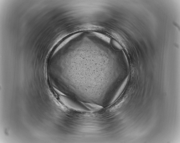 X0000097790843200803211819