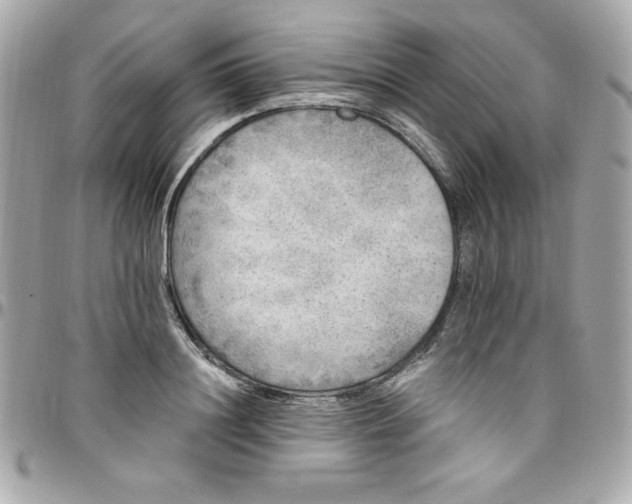 X0000097790844200803211819