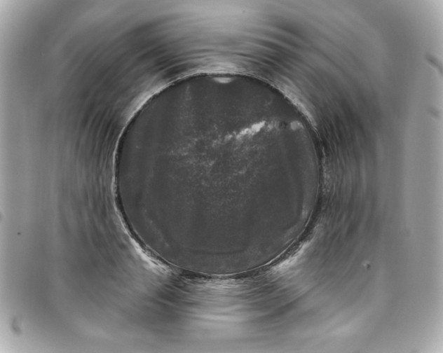 X0000097790845200803211819