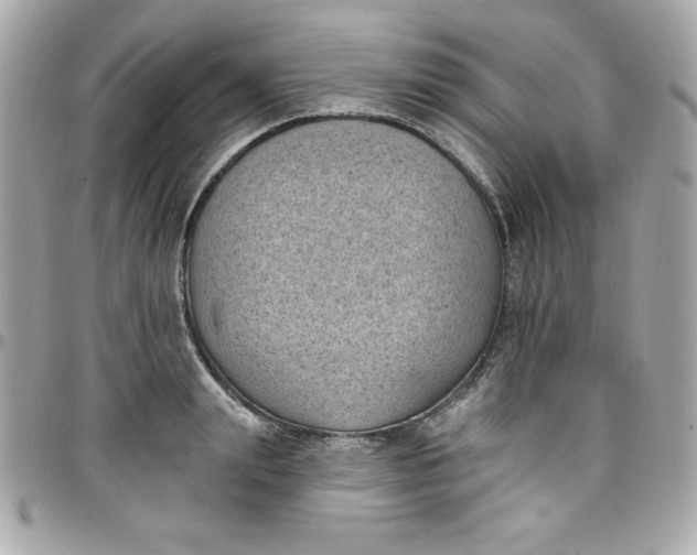 X0000097790847200803211819