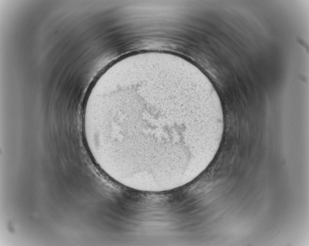 X0000097790848200803211819