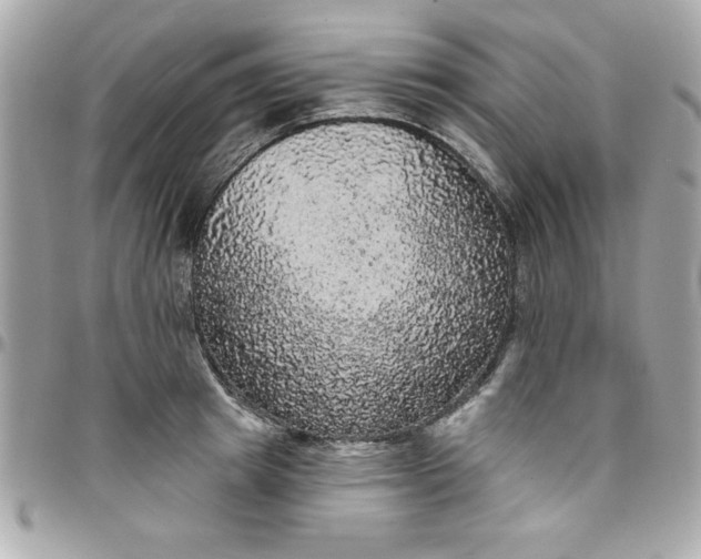 X0000097790849200803211819