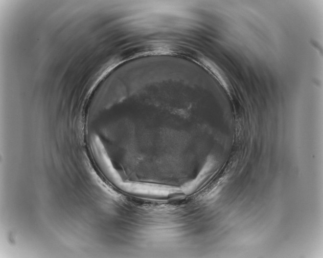 X0000097790851200803211819