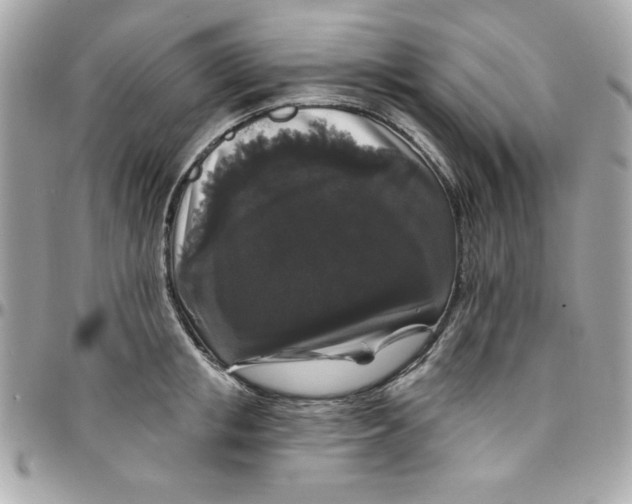 X0000097790853200803211819