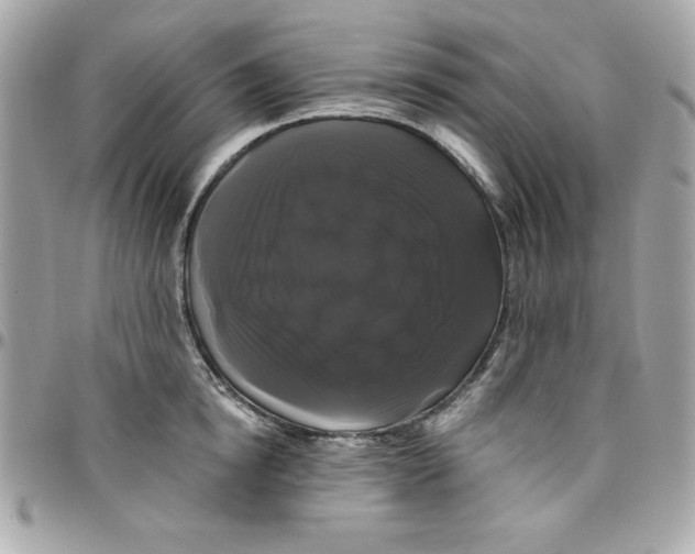 X0000097790854200803211819