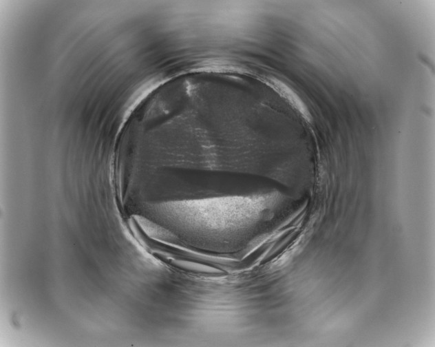 X0000097790855200803211819