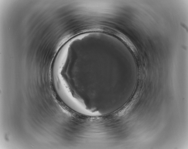 X0000097790858200803211819