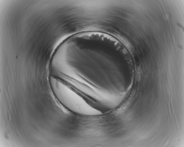 X0000097790862200803211820