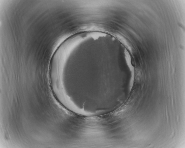 X0000097790863200803211820