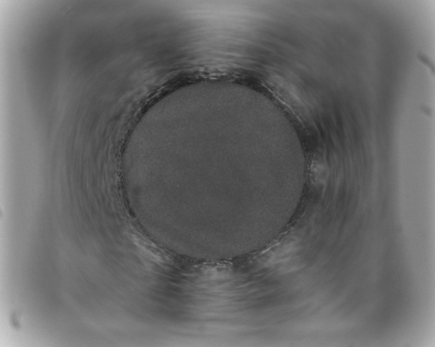 X0000097790865200803211819