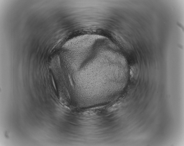 X0000097790867200803211819