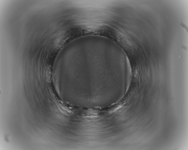 X0000097790868200803211819