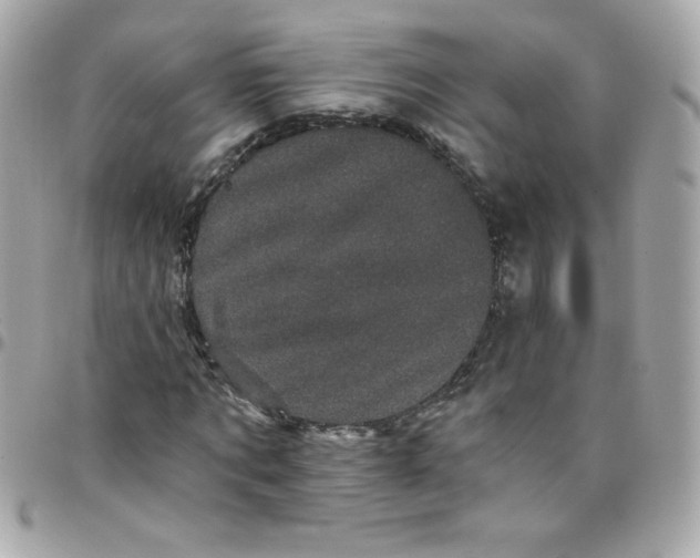 X0000097790869200803211819