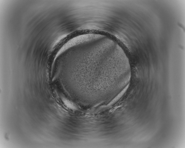 X0000097790872200803211819