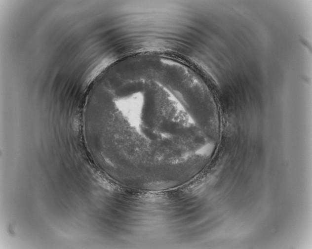 X0000097790874200803211819