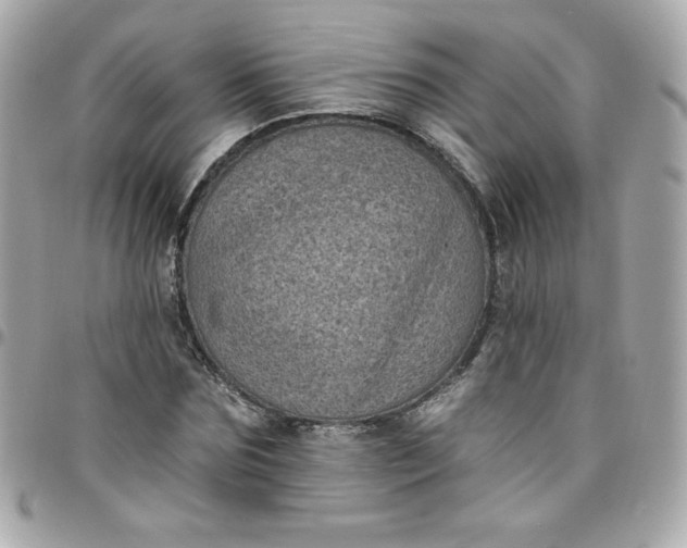 X0000097790875200803211819