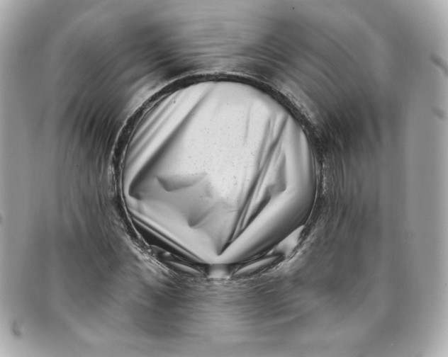 X0000097790876200803211819