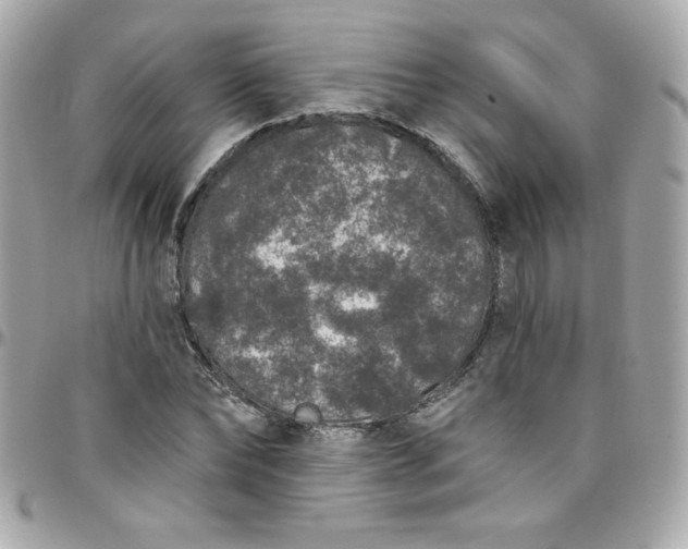 X0000097790878200803211819