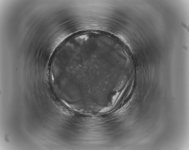 X0000097790879200803211819
