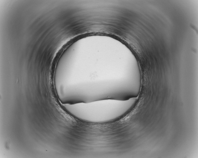 X0000097790880200803211819