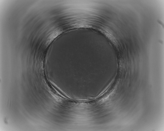 X0000097790881200803211819