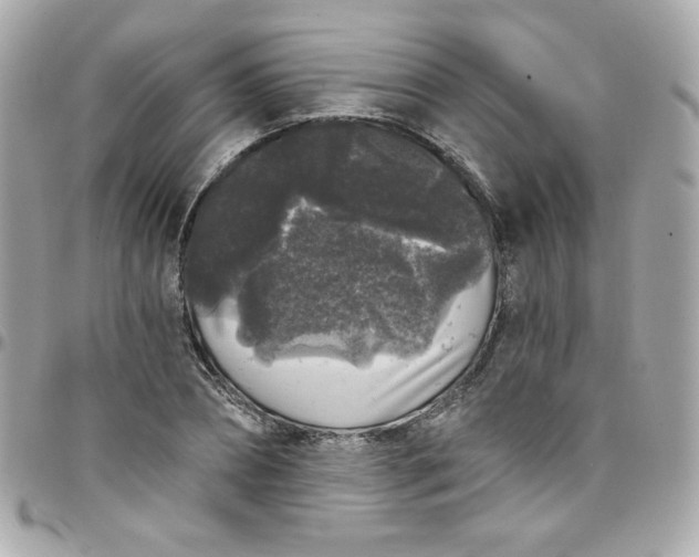 X0000097790882200803211819