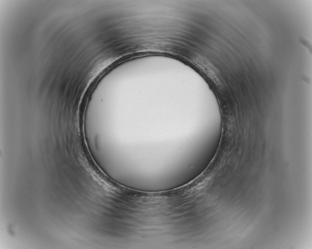 X0000097790884200803211819