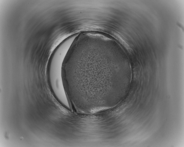 X0000097790885200803211819