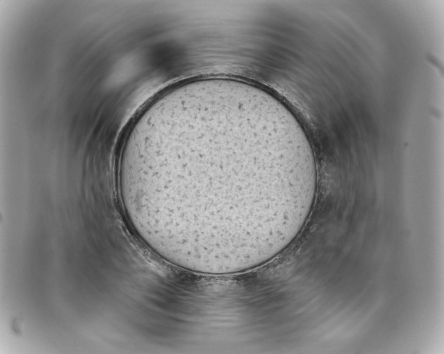 X0000097790886200803211819