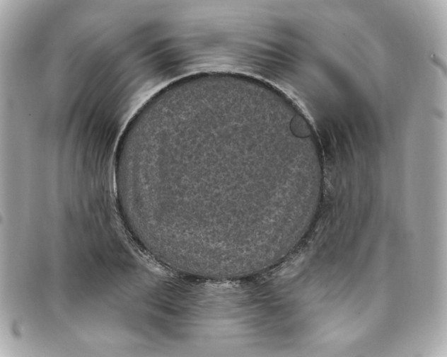 X0000097790887200803211819