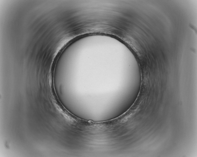 X0000097790888200803211819