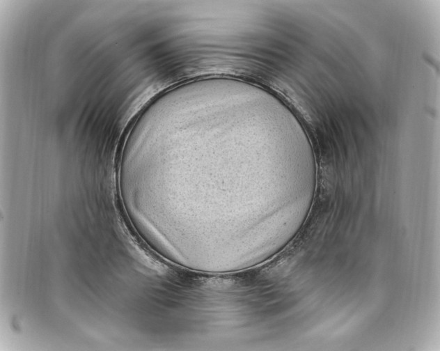 X0000097790890200803211819