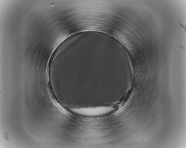 X0000097790892200803211818